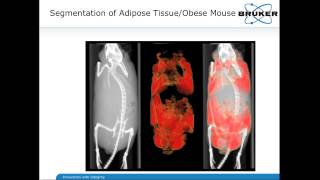 quotSeven NonInvasive in vivo imaging Modalities for the PreClinical Researcherquot [upl. by Annaert]