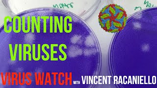 Virus Watch Counting Viruses [upl. by Laks]