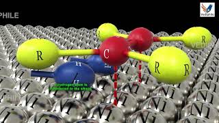 Organic Chemistry Basic to Advanced for NEET Chemistry  Hydrogenation Of Alkenes  NEET 3D Classes [upl. by Melbourne]