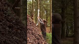 Building Woodland Survival Shelter with Woodstove and Bed bushcraft survival [upl. by Novit]