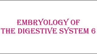 11 Pancreas Embryology [upl. by Sura]