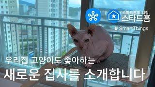 스마트홈 내 집사가 되라냥 with 삼성 스마트싱스 [upl. by Levona]