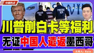 川普拟削白卡等福利！无证中国人直接遣返墨西哥！《中美热点》 第259期 Nov 20 2024 [upl. by Tymothy878]