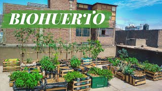 Cómo hacer un HUERTO URBANO en CASA 🏡🌱♻️📦 🍅🌻🌶️🥒🥕🌿 BIOHUERTO  MACETOHUERTO [upl. by Zulch]