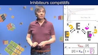 Enzymologie  Inhibiteurs compétitifs [upl. by Ileyan]