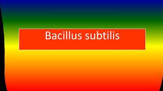 BACILLUS SUBTILIS [upl. by Pompea]