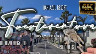 FUERTEVENTURA 4K  Corralejo Bahiazul Resort Squirrels Offroad Buggy Tour [upl. by Angelica]