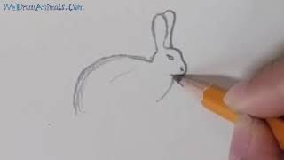 How to Draw a Rabbit In 6 EASY Steps  GREAT for Kids amp Beginners [upl. by Olrak861]