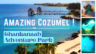 Amazing Diving Cozumel  Exploring Chankanaab Adventure Park Part 1 [upl. by Natala675]