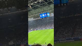 Stimmung Veltins Arena Schalke  Nürnberg 🔥 [upl. by Nnylaf]