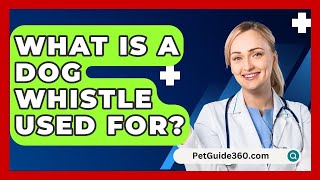 What Is A Dog Whistle Used For  PetGuide360com [upl. by Neleh]