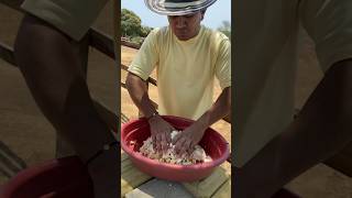 Campesino revela secreto para hacer queso aliñado [upl. by Cheffetz855]