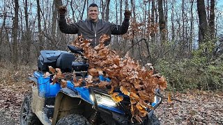 Sloba Radanović posekao Badnjak ranom zorom Srecan Badnji Dan svima koji slave [upl. by Asilej]