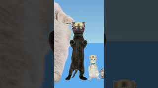 we did it 5Ping Pong Ball Trick Shotstrickshotsping pong ball songhealing funny cat animation [upl. by Naols945]