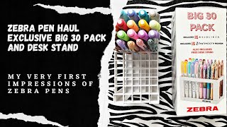 FIRST ZEBRA PEN HAUL  Exclusive Big 30 Pack  Mildliners amp Z Grip Ballpoint Pens  Honest Review [upl. by Bonni]