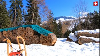 Sledding in Switzerland🇨🇭Wiriehorn toboggan run 5 km  WiriehornSchlittelweg [upl. by Oderfliw62]