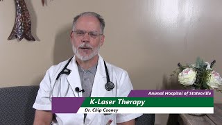 K Laser Therapy Can it Help my Pet [upl. by Happ404]