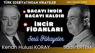 İki Ustadan İki hikaye  Türk Edebiyatından Sesli Kitaplar [upl. by Meta]