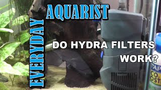 Do They Work Ocean Free Hydra Filters [upl. by Younger]