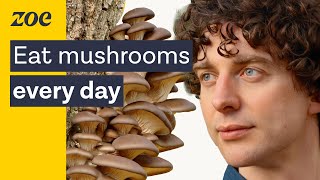 Mushrooms as medicine Uncovering the health secrets of fungi  Merlin Sheldrake amp Prof Tim Spector [upl. by Myron263]