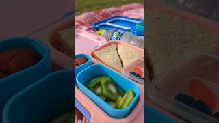 Beautiful Picnic Day with Neat Bento [upl. by Audrie]