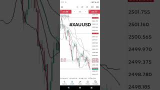 gold trade livegold trade strategy trading gold forex [upl. by Levi]