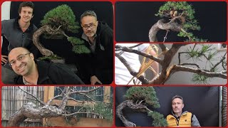 Ho voluto insegnare il bonsai ad un mio allievo in un modo particolare [upl. by Jimmie]