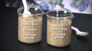 Visualizing Soil Properties Dispersion and Flocculation [upl. by Atnom822]