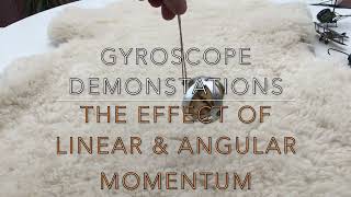 Gyroscopic effects of Linear amp Angular momentum [upl. by Annoyed]