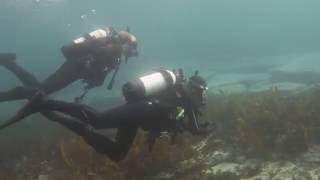 PADI Underwater Navigation Course [upl. by Urana]