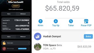 Cara Mencairkan Koin Hamster Kombat ke TON Wallet Telegram Langsung tanpa Pajak [upl. by Youlton34]