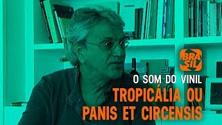 Tropicália ou Panis Et Circencis l O Som do Vinil Parte 1 [upl. by Ityak199]