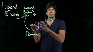 Topic 62  Ligand binding proteins [upl. by Akemeuwkuhc]