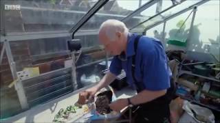 Chelsea Flower Show 2017  Hydropod  Jonathan Hogarth  Full guide to taking clippings [upl. by Tihom]