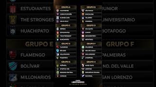 Los Grupos de la Copa Libertadores 2024 🏆🤩 [upl. by Kolk148]