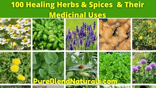 Top 100 Best Healing Medicinal Herbs Spices And Plants Names Health Benefits And Medicinal Uses [upl. by Adranoel959]