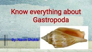 GastropodaGastropoda geology [upl. by Nosae]