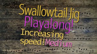 Swallowtail Jig Playalong Getting Faster Medium Level [upl. by Otreblon]