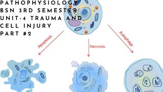 Pathophysiology  BSN 3rd semester  Unit4  Trauma amp cell injury  part 1 [upl. by Sivartal961]