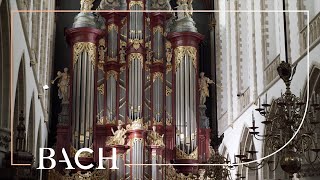 Bach  Kommst du nun Jesu vom Himmel herunter BWV 650  Jacobs  Netherlands Bach Society [upl. by Panayiotis859]