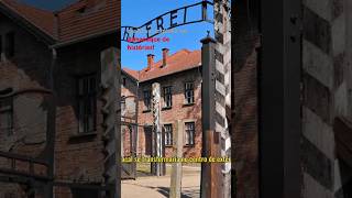 AUSCHWITZ e o inferno na Terra historianaocontadaauschwitz segundaguerracuriosidadesshortsvideo [upl. by Ennirroc118]