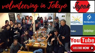 جو التطوع في اليابان ، طوكيو  workaway volunteering in japan [upl. by Akiemahs]