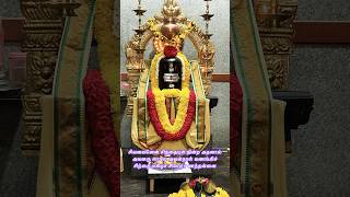 siva lingam linga shiva shivatemple sivapuranam annamalai namashivaya om divine arunasala [upl. by Yssor]