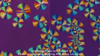 CCe  PLA amp PLA nanocomposite isothermal crystallization [upl. by Hersch]