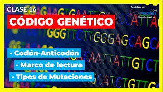 🟢 El CÓDIGO GENÉTICO Características y Desciframiento 🧬【Curso de Biología Molecular 2022】 [upl. by Belicia]