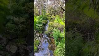 Breathtaking Mile Creek Bridge at Yaraman  Serenity Over Water” [upl. by Navar]