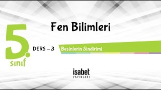 5Sınıf Fen Bilimleri — Ders 3 — Besinlerin Sindirimi [upl. by Naga]