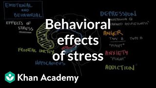 Behavioral effects of stress  Processing the Environment  MCAT  Khan Academy [upl. by Aronoel]