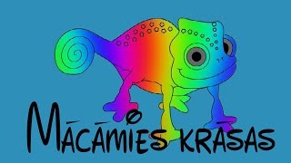 Mācāmies krāsas Multfilma bērniem [upl. by Mollee]