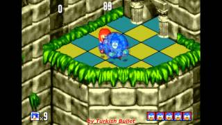 Sonic 3D Blast Sega Genesis  Zone 2  Rusty Ruin Zone [upl. by Collins]